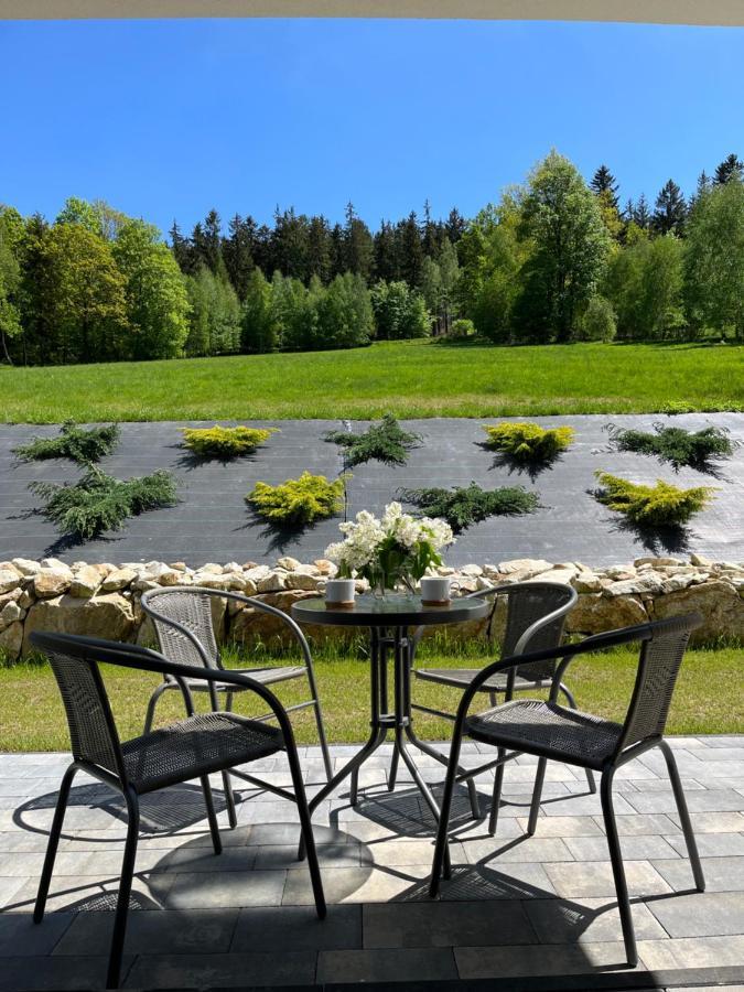 Apartament na Wzgórzu 1, ebike, las, widok - 5D Apartamenty Świeradów-Zdrój Exterior foto